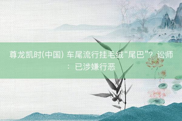 尊龙凯时(中国) 车尾流行挂毛绒“尾巴”？讼师：已涉嫌行恶