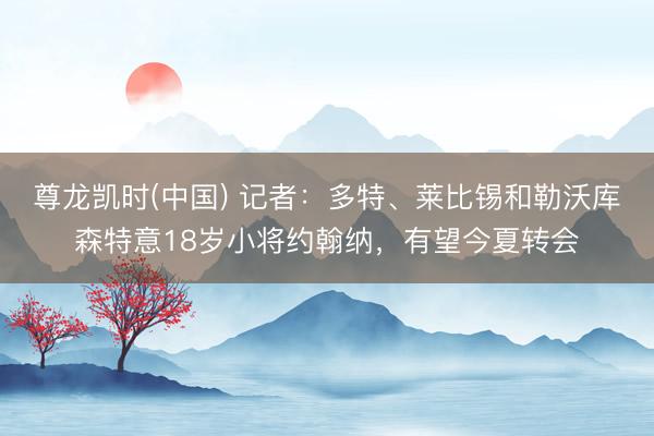 尊龙凯时(中国) 记者：多特、莱比锡和勒沃库森特意18岁小将约翰纳，有望今夏转会
