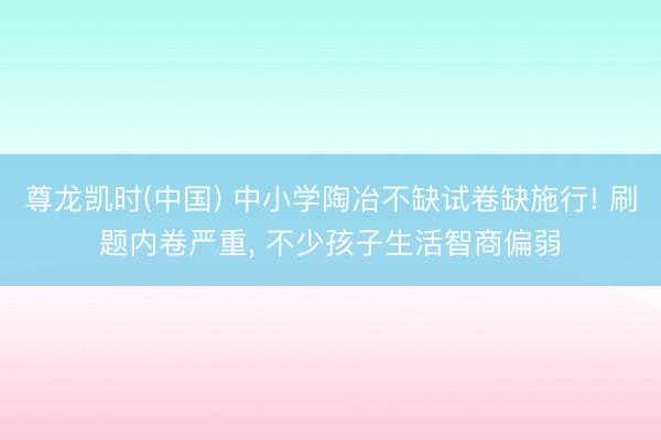 尊龙凯时(中国) 中小学陶冶不缺试卷缺施行! 刷题内卷严重， 不少孩子生活智商偏弱