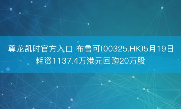 尊龙凯时官方入口 布鲁可(00325.HK)5月19日耗资1137.4万港元回购20万股