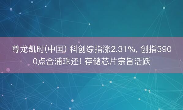 尊龙凯时(中国) 科创综指涨2.31%， 创指3900点合浦珠还! 存储芯片宗旨活跃