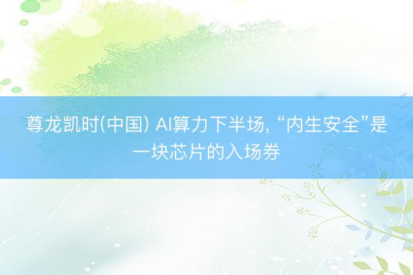 尊龙凯时(中国) AI算力下半场， “内生安全”是一块芯片的入场券