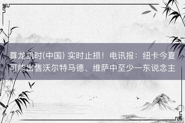 尊龙凯时(中国) 实时止损！电讯报：纽卡今夏可能出售沃尔特马德、维萨中至少一东说念主