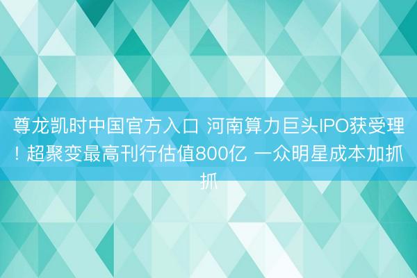 尊龙凯时中国官方入口 河南算力巨头IPO获受理! 超聚变最高刊行估值800亿 一众明星成本加抓