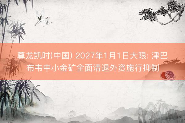 尊龙凯时(中国) 2027年1月1日大限: 津巴布韦中小金矿全面清退外资施行抑制