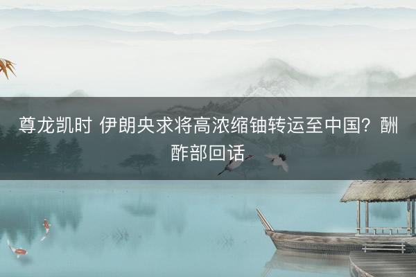 尊龙凯时 伊朗央求将高浓缩铀转运至中国？酬酢部回话