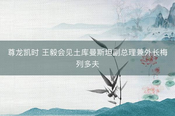 尊龙凯时 王毅会见土库曼斯坦副总理兼外长梅列多夫