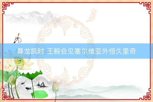尊龙凯时 王毅会见塞尔维亚外恒久里奇