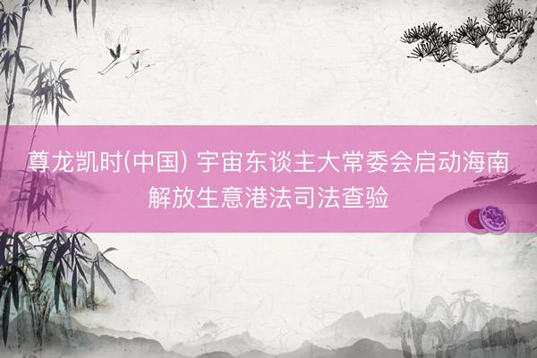 尊龙凯时(中国) 宇宙东谈主大常委会启动海南解放生意港法司法查验