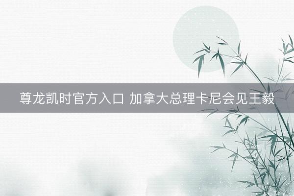 尊龙凯时官方入口 加拿大总理卡尼会见王毅