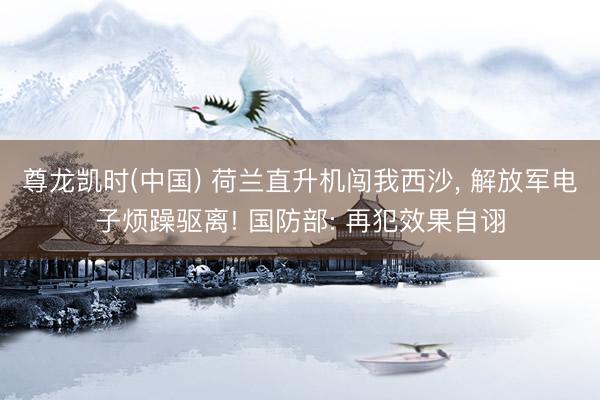 尊龙凯时(中国) 荷兰直升机闯我西沙， 解放军电子烦躁驱离! 国防部: 再犯效果自诩