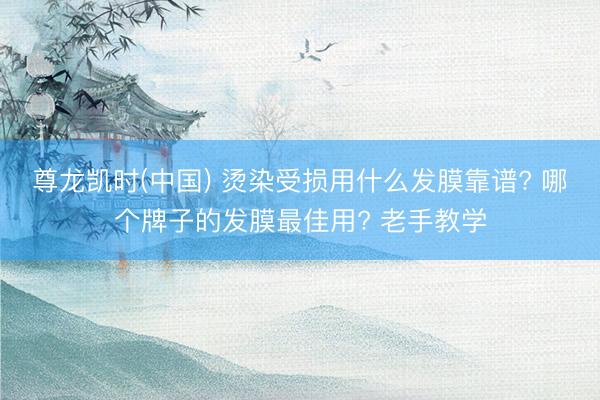 尊龙凯时(中国) 烫染受损用什么发膜靠谱? 哪个牌子的发膜最佳用? 老手教学