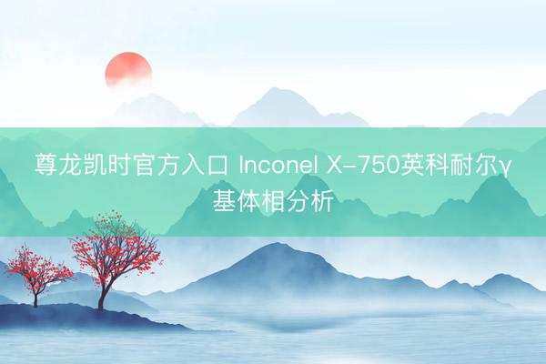 尊龙凯时官方入口 Inconel X-750英科耐尔γ基体相分析