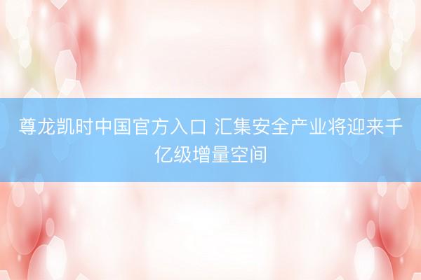 尊龙凯时中国官方入口 汇集安全产业将迎来千亿级增量空间