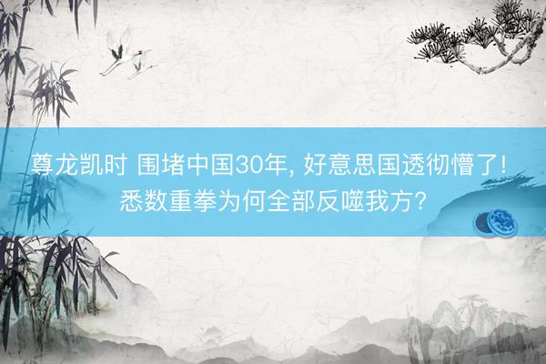 尊龙凯时 围堵中国30年， 好意思国透彻懵了! 悉数重拳为何全部反噬我方?