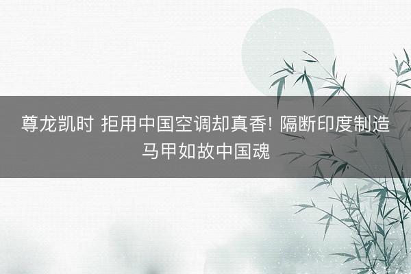 尊龙凯时 拒用中国空调却真香! 隔断印度制造马甲如故中国魂