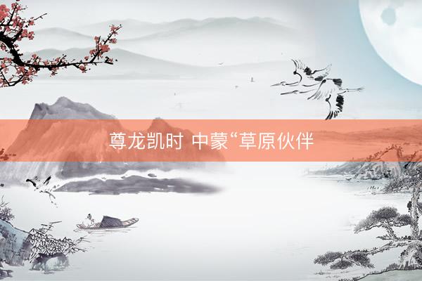尊龙凯时 中蒙“草原伙伴