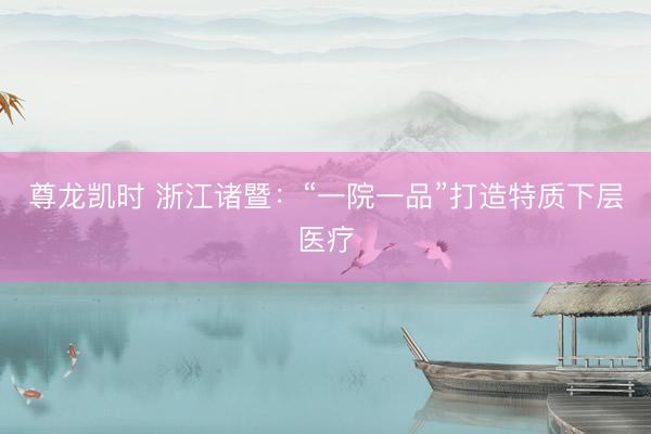 尊龙凯时 浙江诸暨：“一院一品”打造特质下层医疗