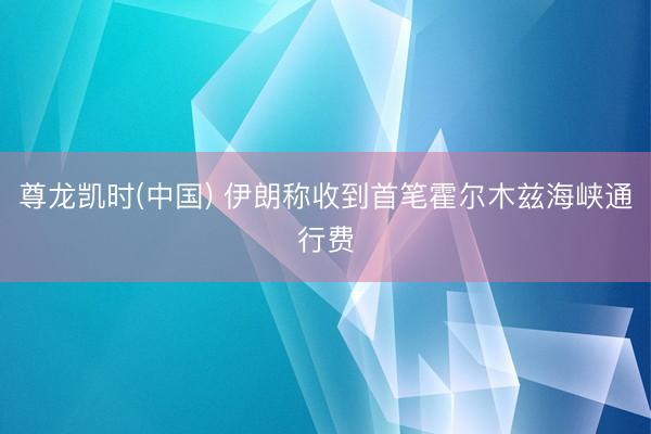 尊龙凯时(中国) 伊朗称收到首笔霍尔木兹海峡通行费