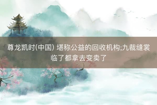 尊龙凯时(中国) 堪称公益的回收机构;九裁缝裳临了都拿去变卖了