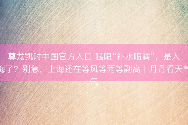 尊龙凯时中国官方入口 猛喷“补水喷雾”，是入梅了？别急，上海还在等风等雨等副高｜丹丹看天气