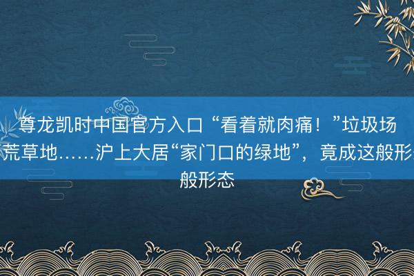 尊龙凯时中国官方入口 “看着就肉痛！”垃圾场、荒草地……沪上大居“家门口的绿地”，竟成这般形态