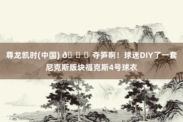 尊龙凯时(中国) 😂夺笋啊！球迷DIY了一套尼克斯版块福克斯4号球衣