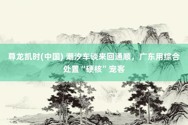 尊龙凯时(中国) 潮汐车谈来回通顺，广东用综合处置“硬核”宠客