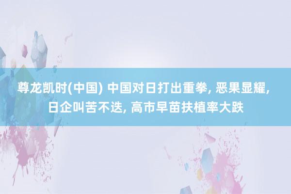 尊龙凯时(中国) 中国对日打出重拳， 恶果显耀， 日企叫苦不迭， 高市早苗扶植率大跌
