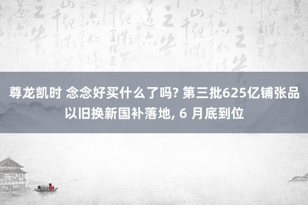 尊龙凯时 念念好买什么了吗? 第三批625亿铺张品以旧换新国补落地， 6 月底到位