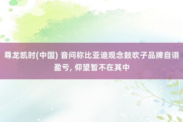 尊龙凯时(中国) 音问称比亚迪观念鼓吹子品牌自诩盈亏， 仰望暂不在其中