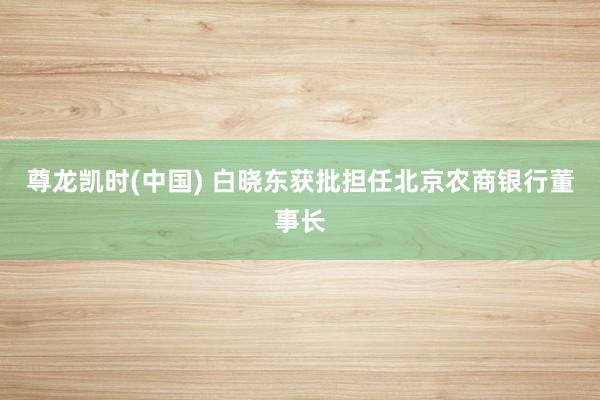 尊龙凯时(中国) 白晓东获批担任北京农商银行董事长